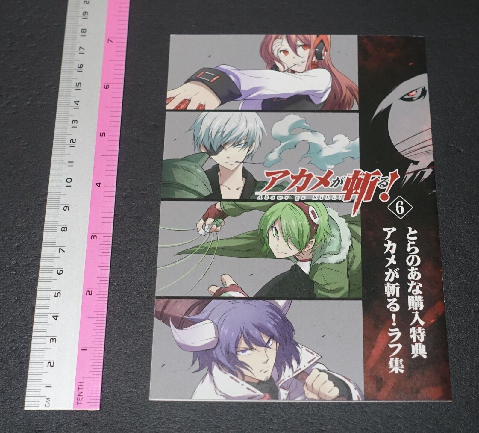 Tetsuya Tashiro Akame ga Kill! Rought Illustration Art Mini Booklet F 8page 