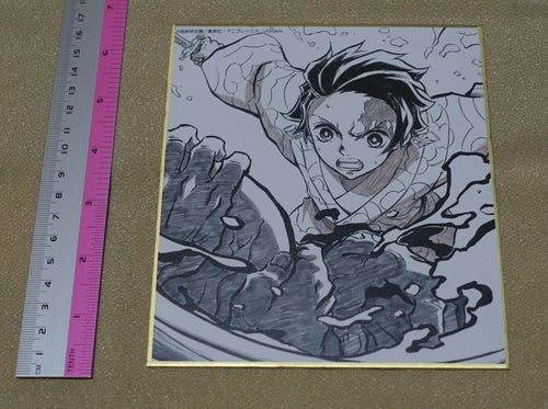 ufotable Kimetsu no Yaiba Demon Slayer Print Shikishi Art Board Tanjiro B 
