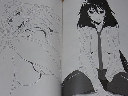 Kaguraya Infinite Stratos Animation Staff's Fan Art Book IS hen 4 