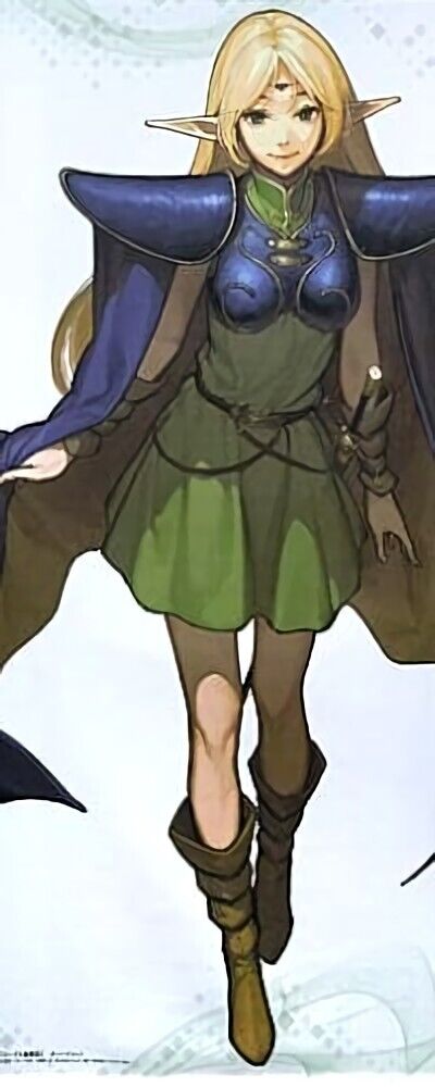 Record of Lodoss War Deedlit 70 x 160 cm Life Size Tapestry Light Novel EXPO2020 