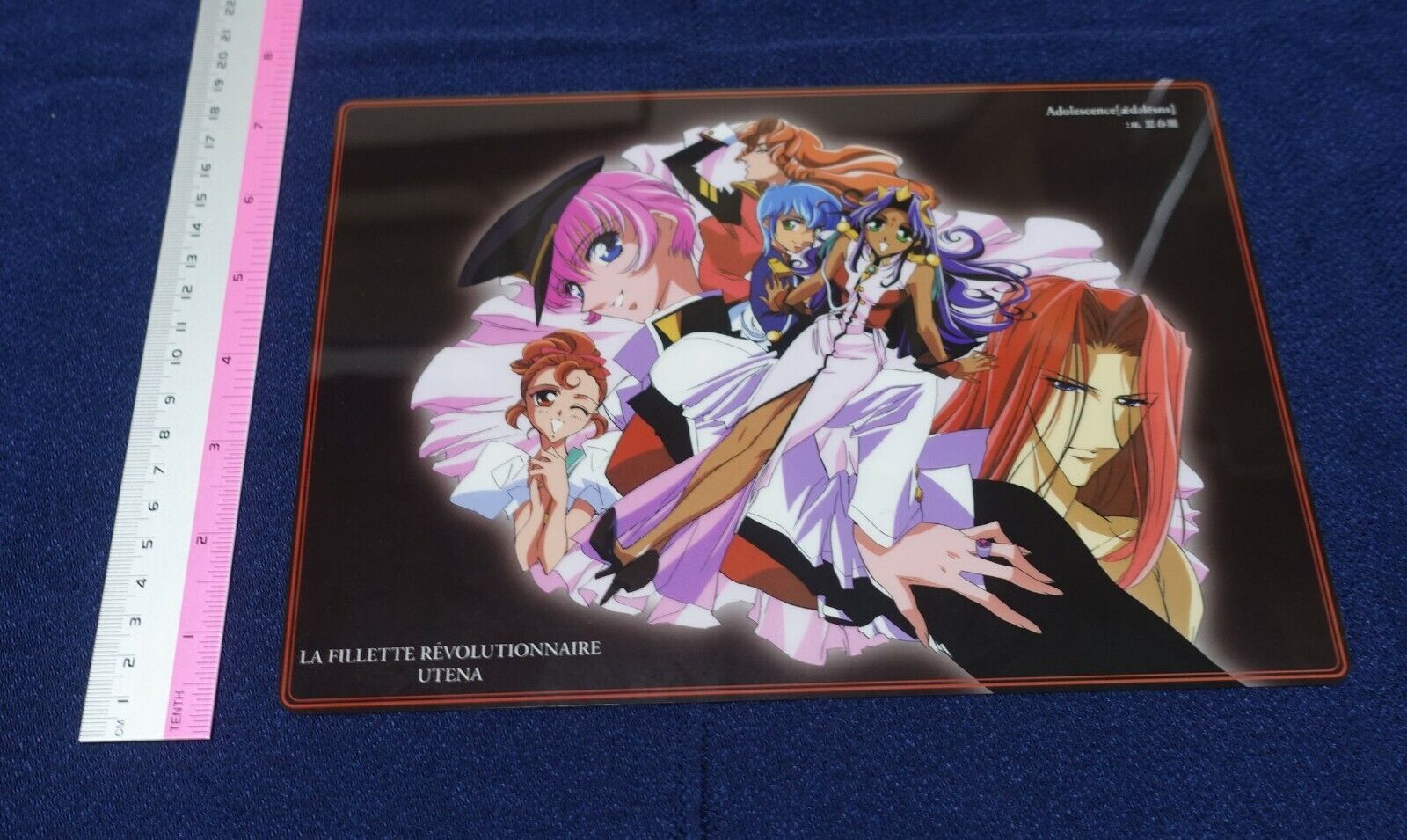 GIRL'S REVOLUTION UTENA PVC Art Board B 