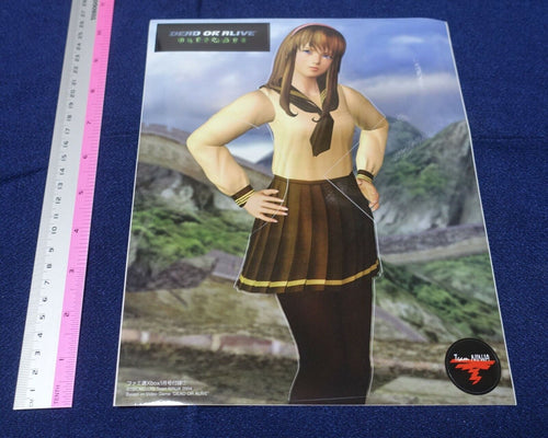 Dead or Alive Sticker Sheet Hitomi 