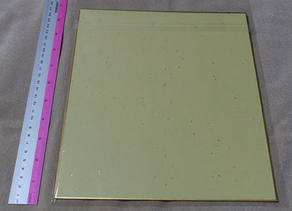 TOSHIHIRO KAWAMOTO Print Art Board with Hand Drawn Signature Wolf's Rain 