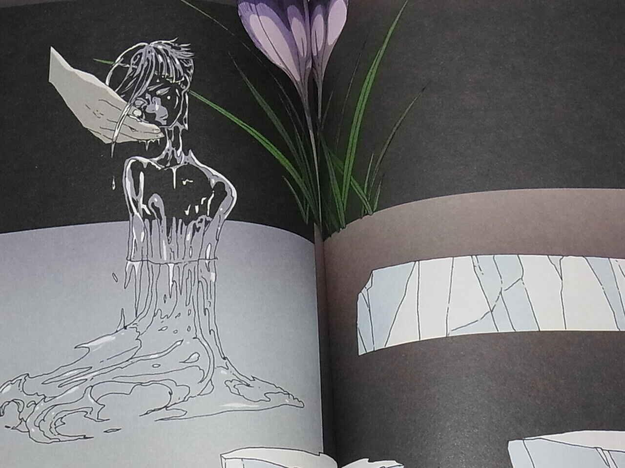 Haruko Ichikawa Houseki no Kuni Land of the Lustrous Art Comic Book Love Freedom 