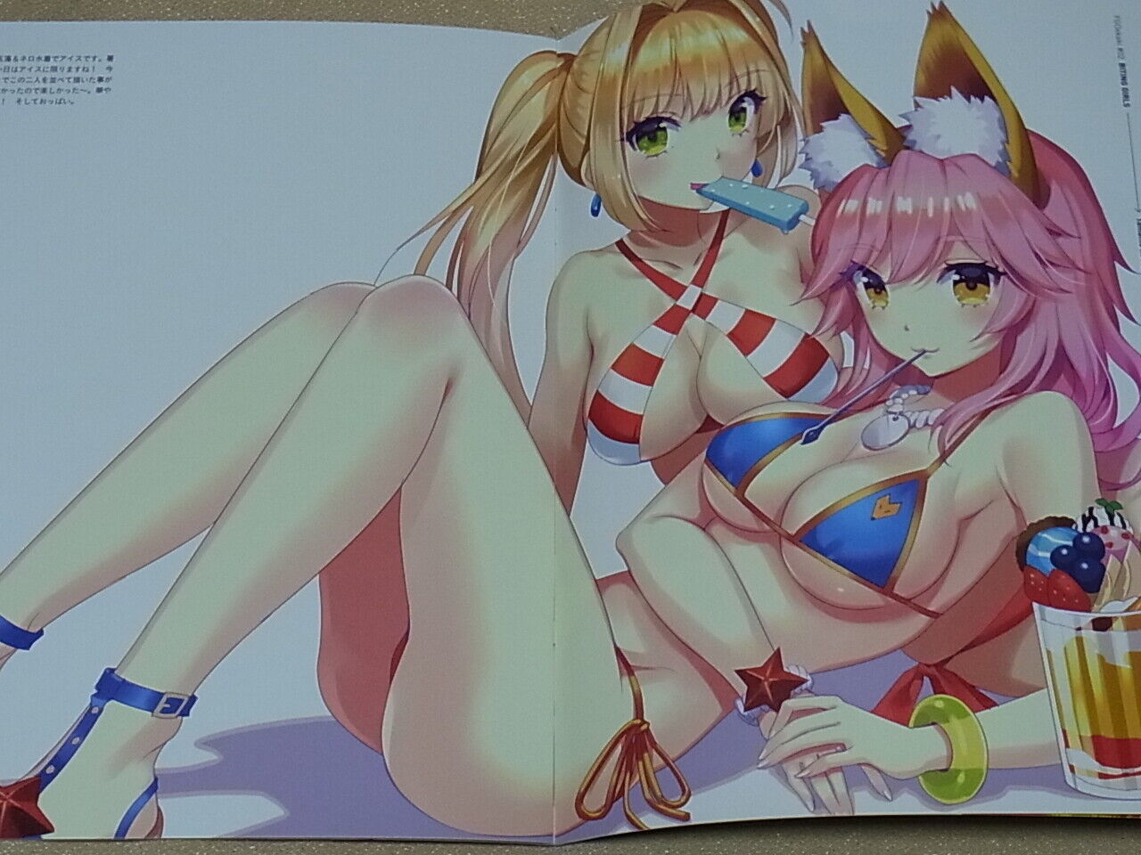 ERIMO Fate FGO Color Fan Art Book BITING GIRLS Fate Grand Order 