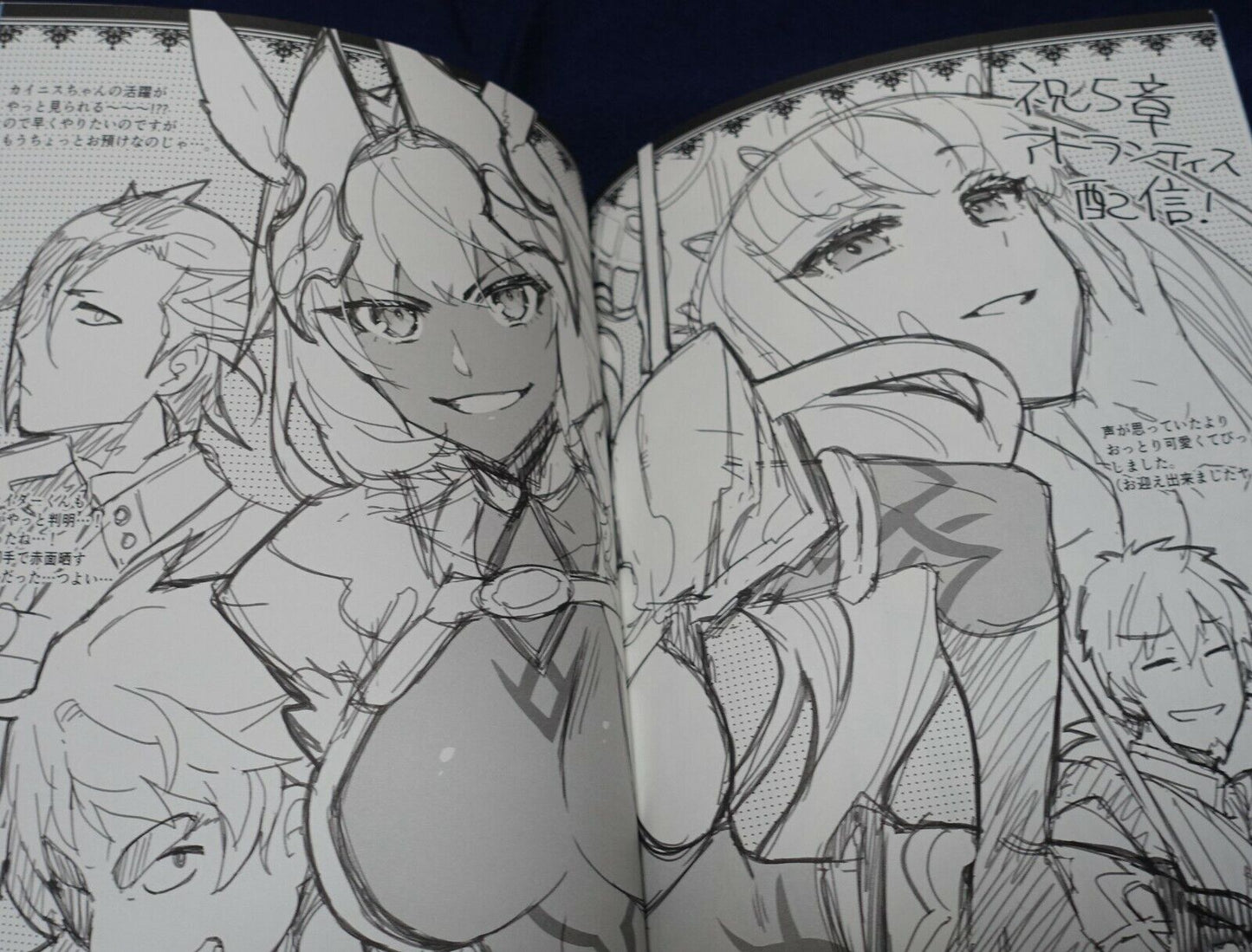 ReDrop Fate Grand Order FGO Event Exclusive Fan Art Book 2019 Winter 