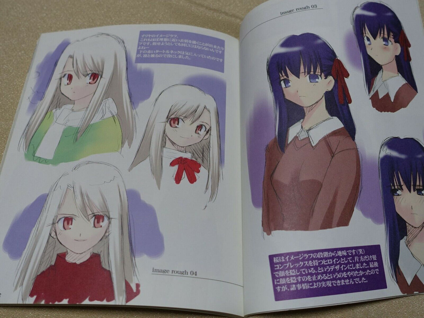 Fate Stay Night Setting Art Book Fate Side Material 