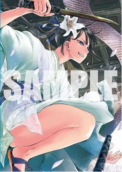 Type-Moon Fate Grand Order FGO Premium B2 Size Tapestry No.21 Jing Ke 