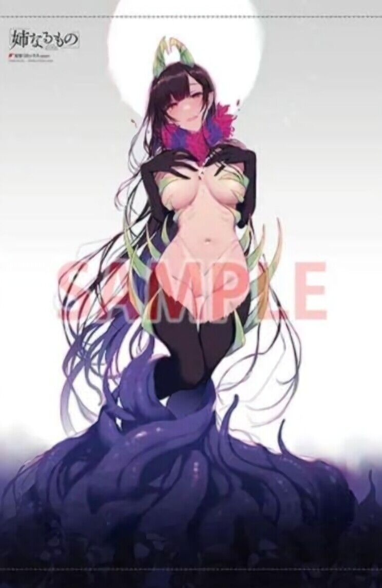 Ane Naru Mono The Elder Sister Like One Chiyo 51 x 72 cm Tapestry 
