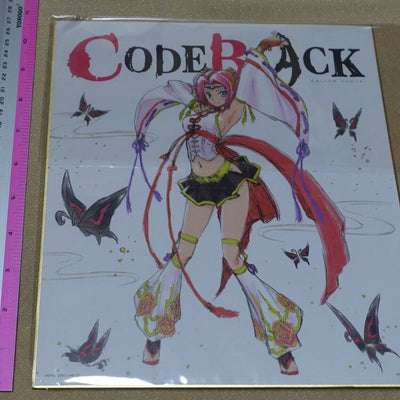 Code Geass Code Black Shikishi Art Board 27x24cm Kallen 