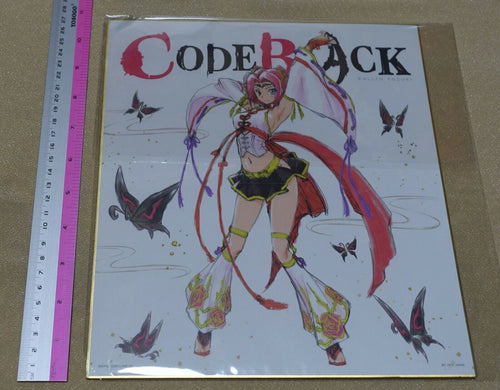 Code Geass Code Black Shikishi Art Board 27x24cm Kallen 