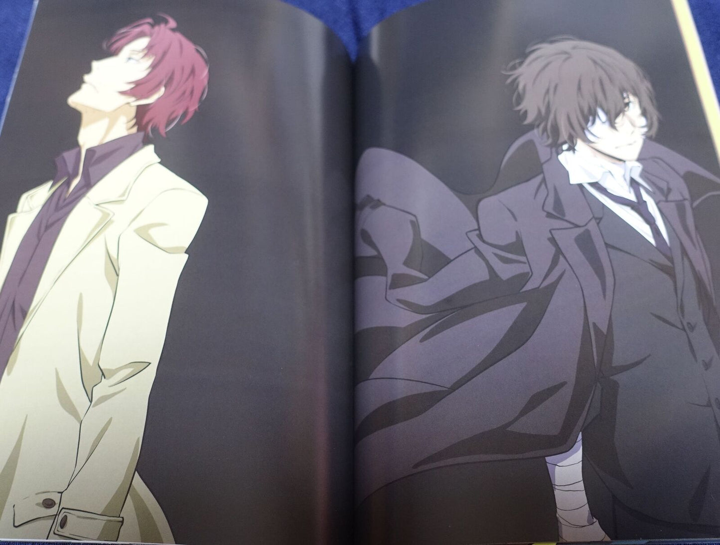 Kohei Tokuoka Bungo Stray Dogs Art Director's Fan Art Book STRAY HEART 