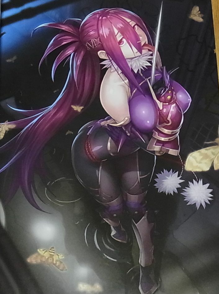 TAIMANIN ASAGI BATTLE ARENA CHARACTER VISUAL ART BOOK 9 NINJA GIRL 116page C95 
