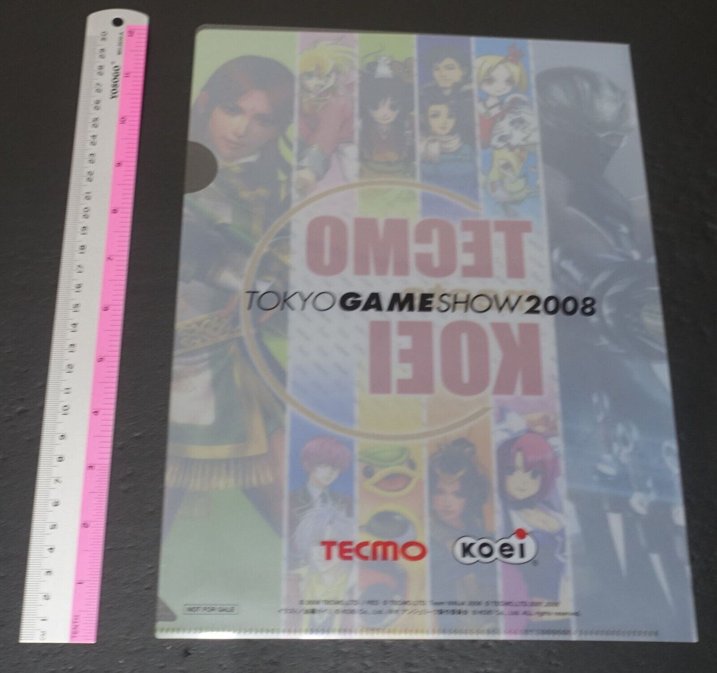 TECMO meets KOEI PVC Art Sheet Clear File 