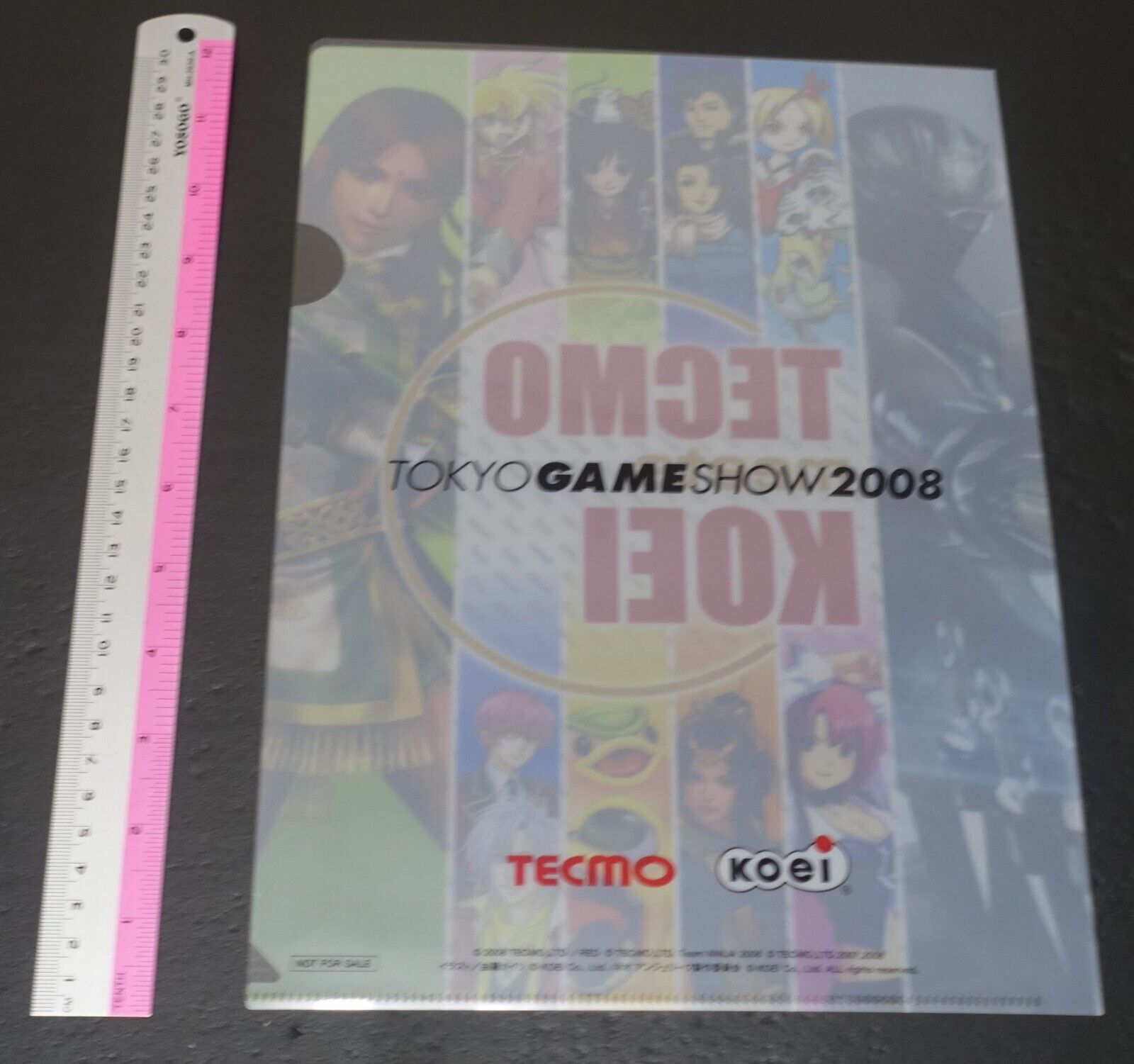 TECMO meets KOEI PVC Art Sheet Clear File 