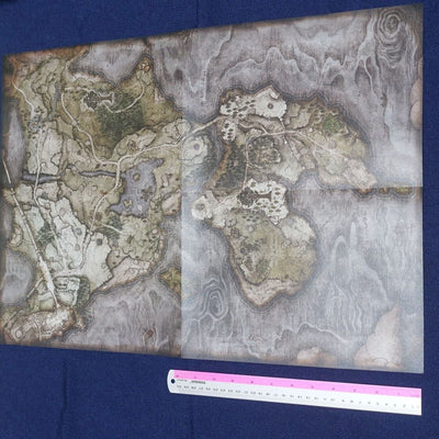 ELDEN RING World Map Poster Reversible 