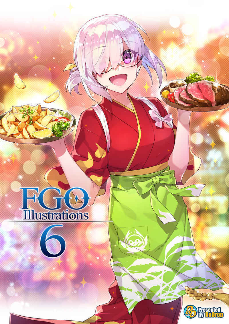 ReDrop & Raita Fate Grand Order Color Fan Art Book 11 Set FGO Illustrations 