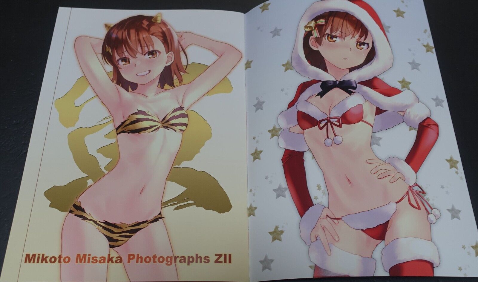 Chillin Party raika9 A Certain Scientific Railgun Mikasa Mikoto Fan Art Book Z2 
