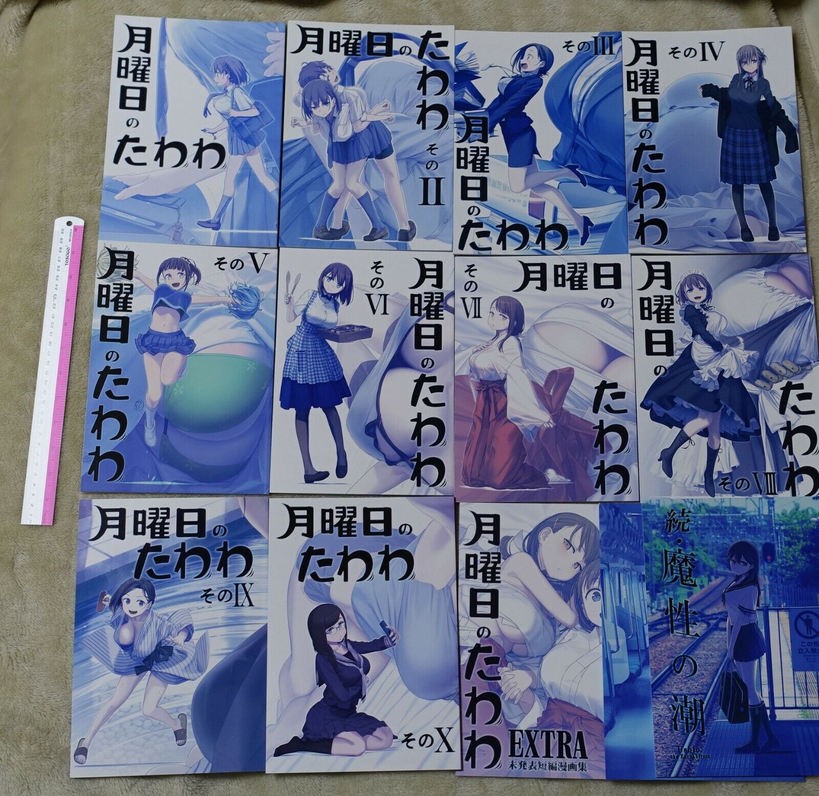 Kiseki Himura Nyuugyou Art & Comic Getsuyoubi no Tawawa on Monday Ushio 13 books 