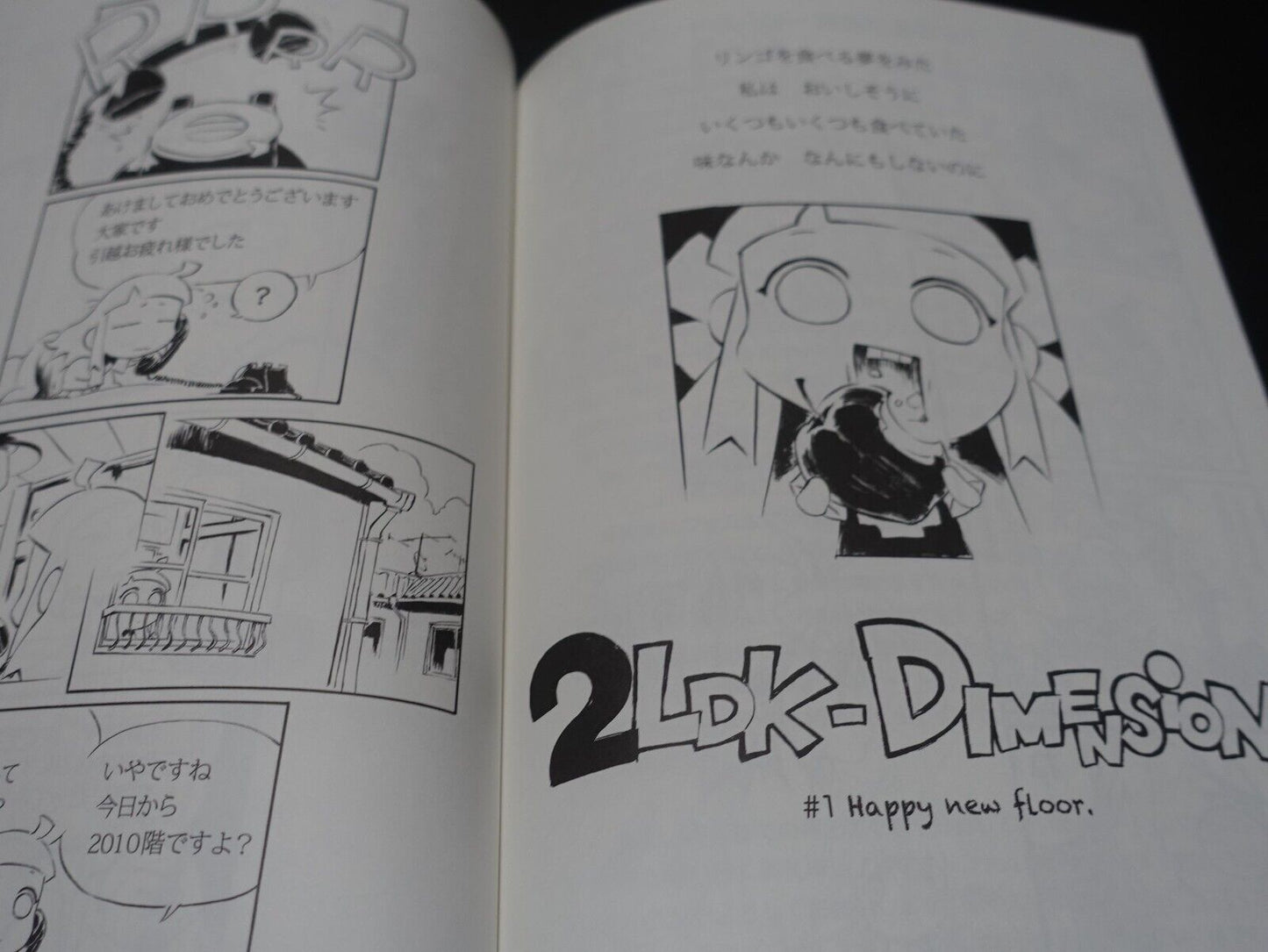 Kunihiko Tanaka Ruin Explorers Fam & Ihrie Designer Comic & Other Art Book 
