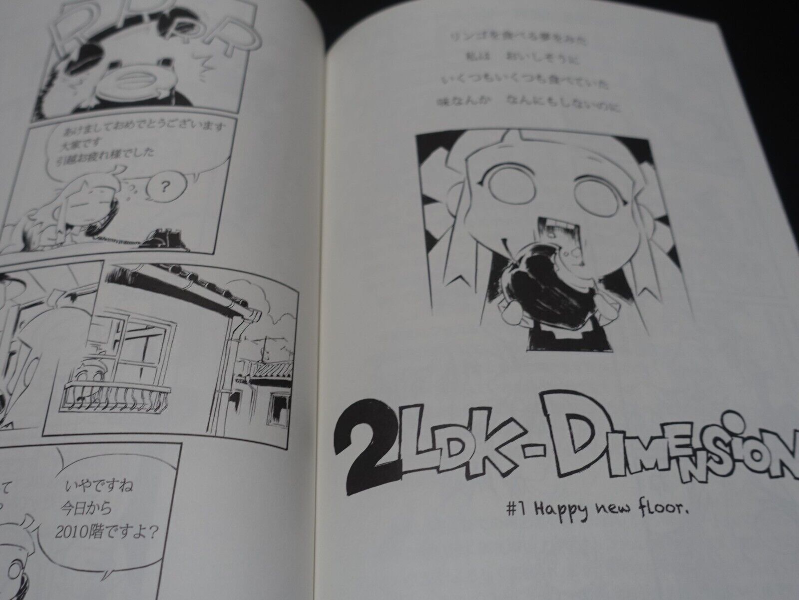 Kunihiko Tanaka Ruin Explorers Fam & Ihrie Designer Comic & Other Art Book 
