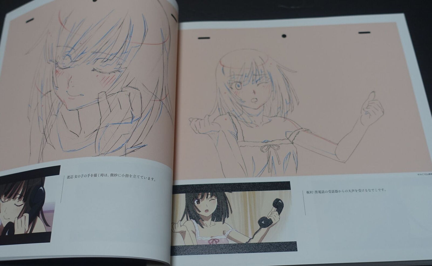 Bakemonogatari Key Animation Note Ge 4 books total 1200page 