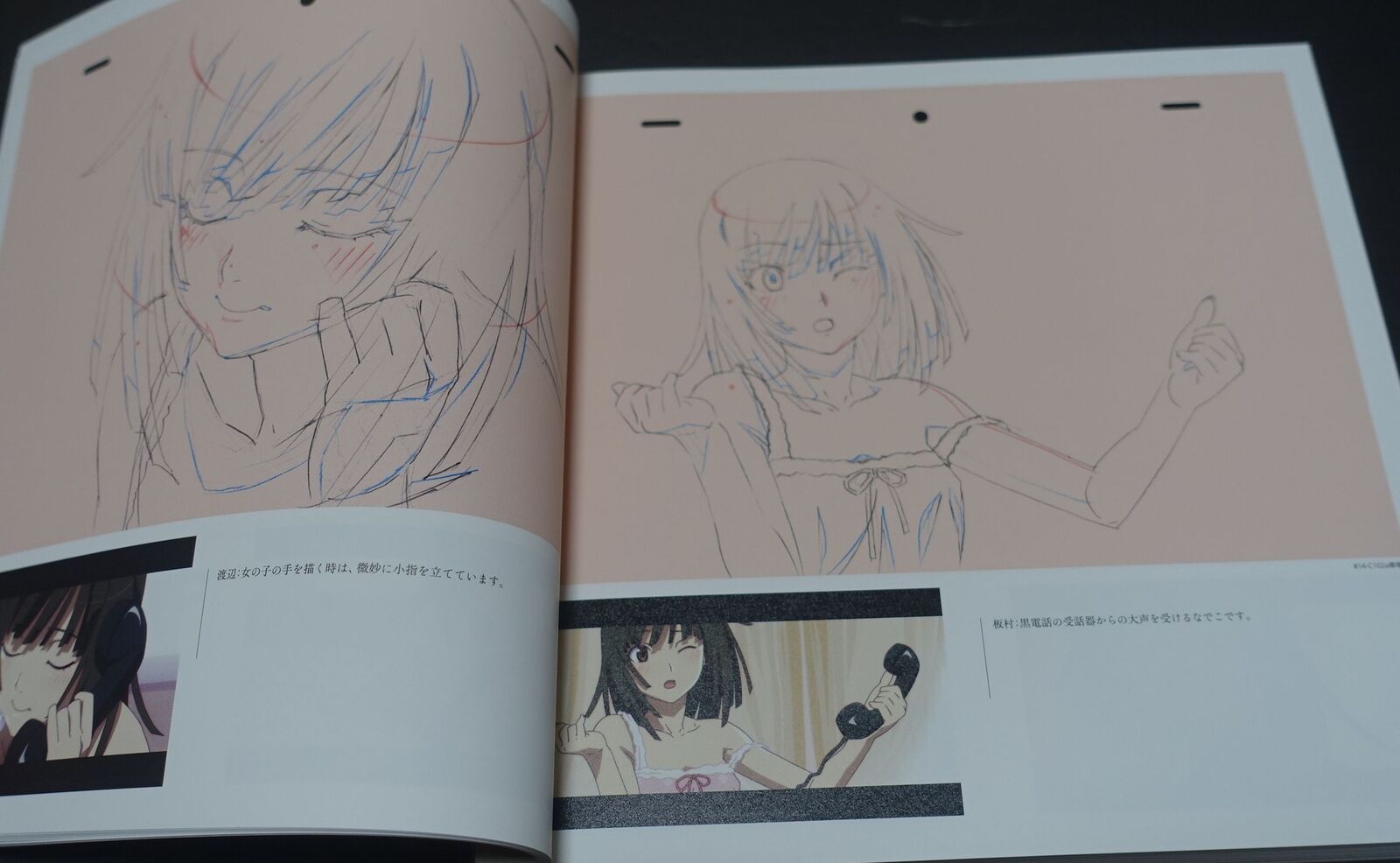 Bakemonogatari Key Animation Note Ge 4 books total 1200page 