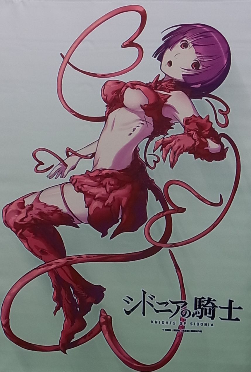 KNIGHTS OF SIDONIA Hoshisiro Ena Version B2SIZE TAPESTRY Wall Scroll 