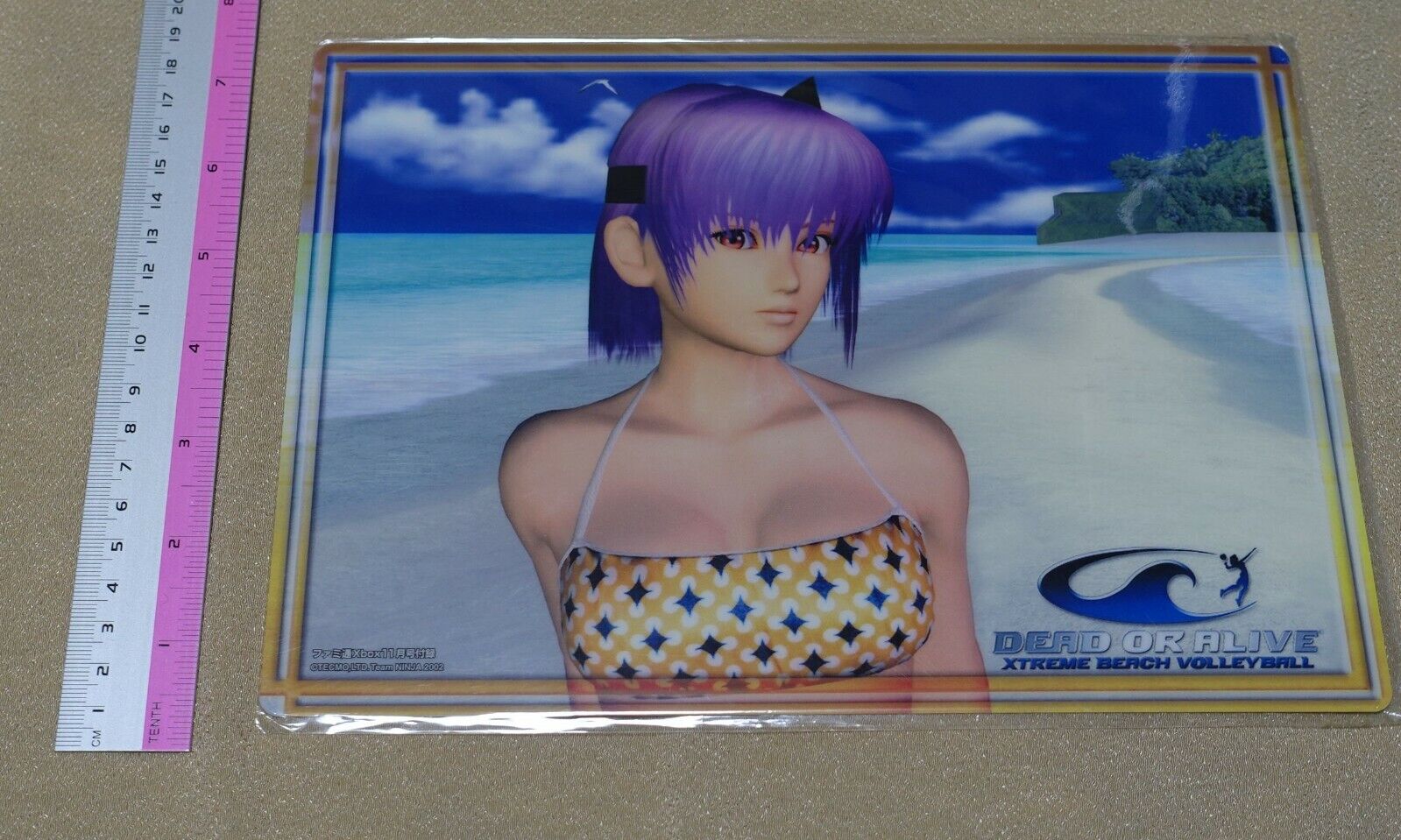Dead or Alive Xtreme Beach Volley Ball PVC Reversible Art Board Ayane & Helena 
