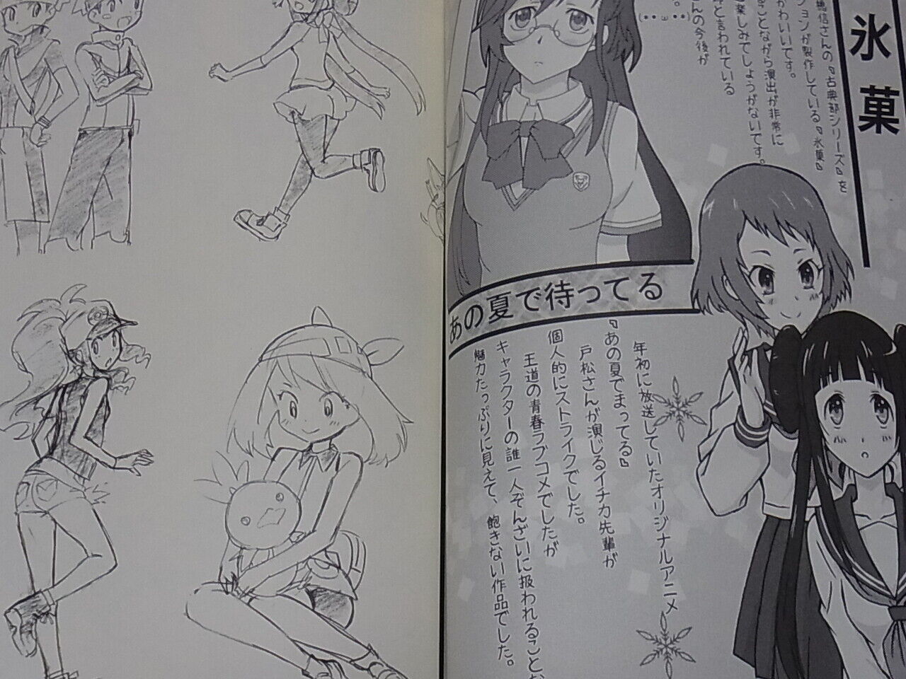 Japanese Animation Illustrator Illustration Art Book wanpakko 
