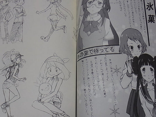 Japanese Animation Illustrator Illustration Art Book wanpakko 
