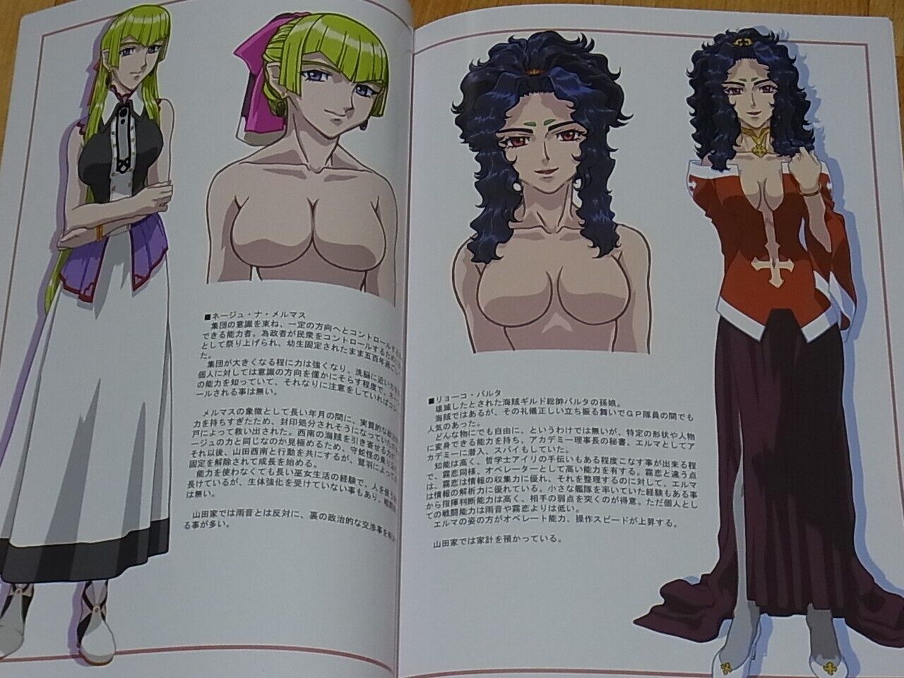 Tenchi Muyo Official Setting Art Doujinshi Omatsuri Zenjitsu no Yoru 17.12 
