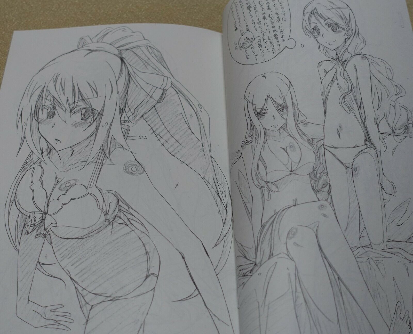Yataneko A Certain Scientific Railgun Infinite Stratos Staff's Fan Art book 