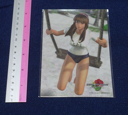 Dead or Alive Art Sheet Hitomi 