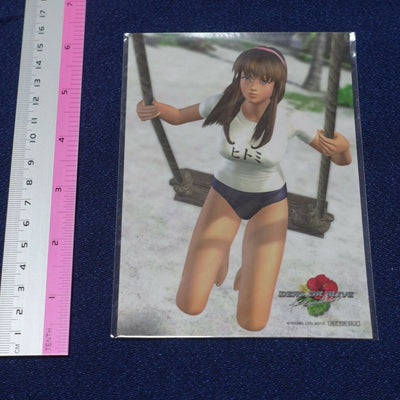 Dead or Alive Art Sheet Hitomi 