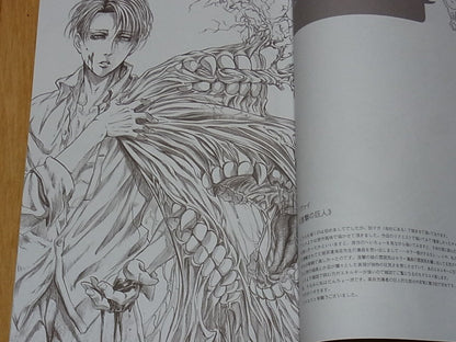 Ai Yokoyama Japanese Characters Fan Art Book Re QUEST 