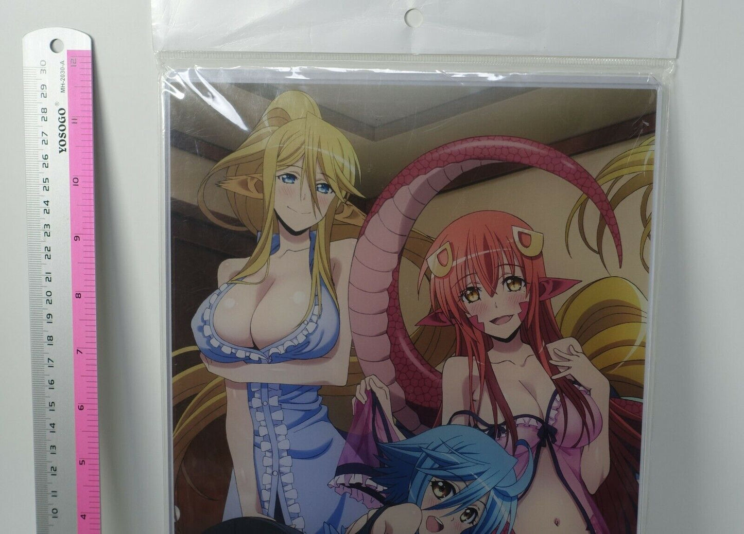 Monster Musume no Iru Nichijou Acrylic Panel Stand 