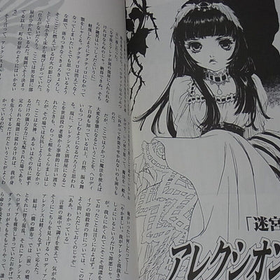 Strawberry Flash Mutsumi Inomata Alexion Saga Illustration & Novel Book 