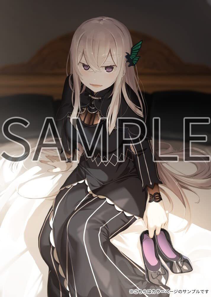 Re:Zero Starting Life in Another World Art Fan Book 2021 Fuyu 
