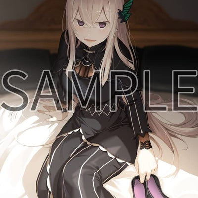 Re:Zero Starting Life in Another World Art Fan Book 2021 Fuyu 