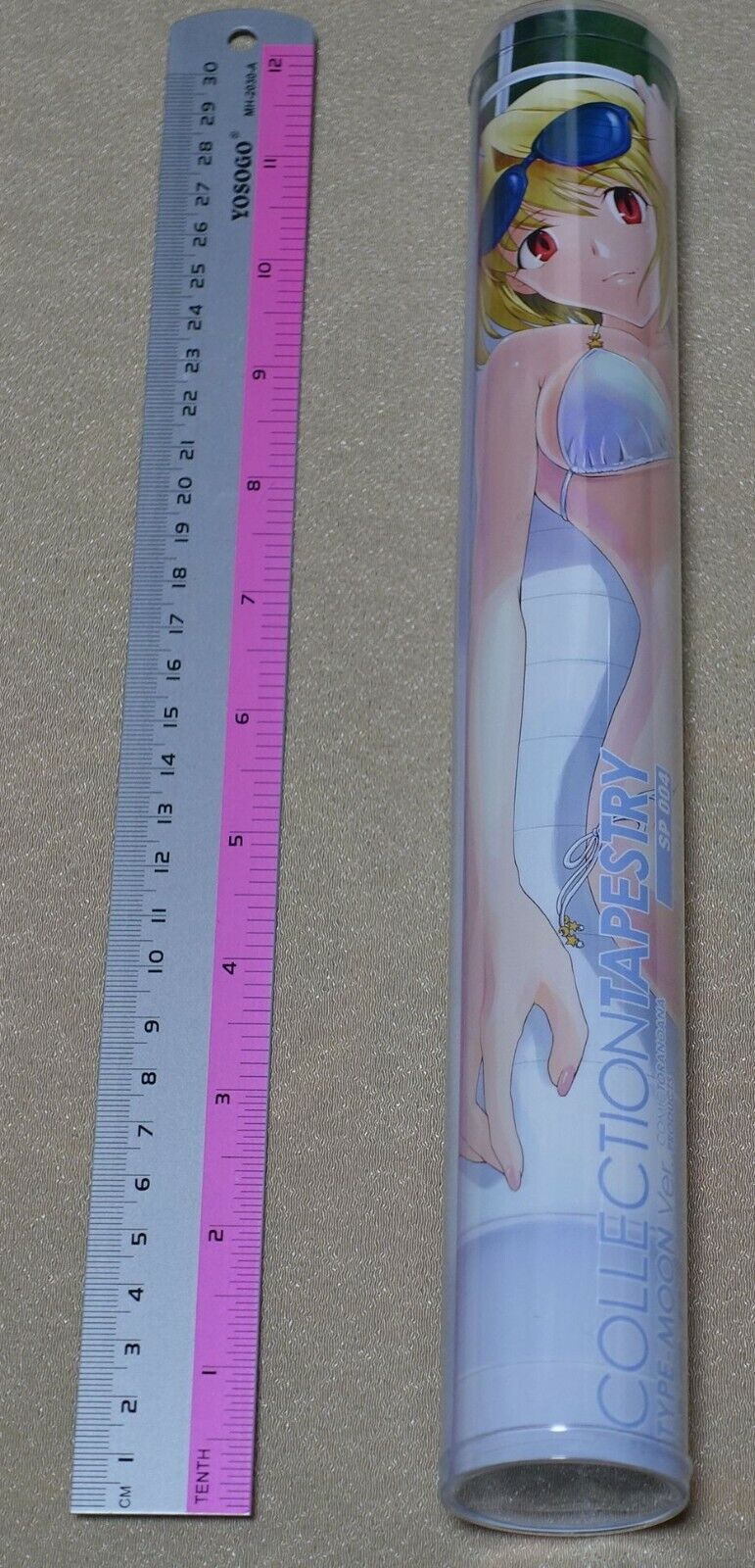 Type-Moon Official Fan Art Tapestry Wall Scroll 24 x 42 cm Melty Blood Arcueid 