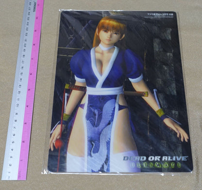 Dead or Alive ULTIMATE PVC Reversible Art Board Kasumi & METAL WOLF 