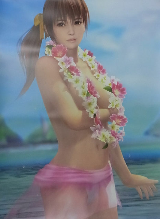 DEAD OR ALIVE 5 Last Round B2 SIZE Bath Room POSTER Kasumi DOA5 