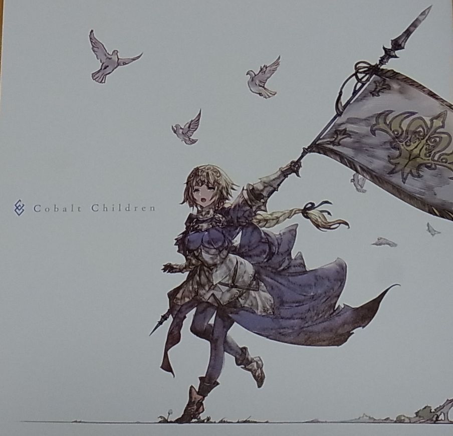 Raita Kazama Fate FGO Color Fan Art Book Cobalt Children with Clear File C95 