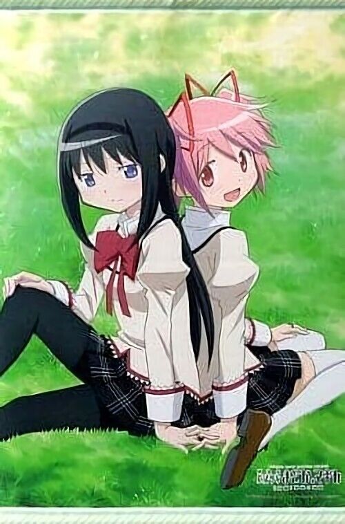PUELLA MAGI MADOKA MAGICA 51 x 72 cm Tapestry Wall Scroll Madoka & Homura 