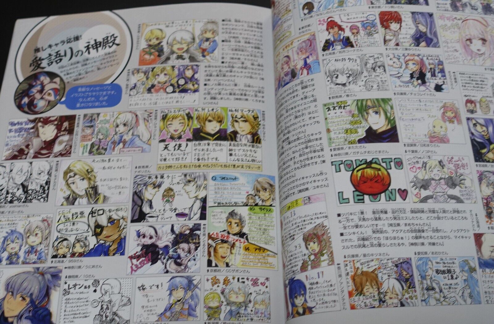 Fire Emblem If Fates Character Fan Book 