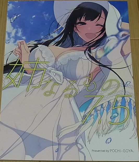 Pochi Iida The Elder Sister Like One Illustration Art Book Ane Naru Mono 7.5 