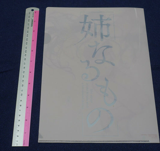 Pochi Iida The Elder Sister Like One Comic vol.7 Privilege PVC Art Sheet 