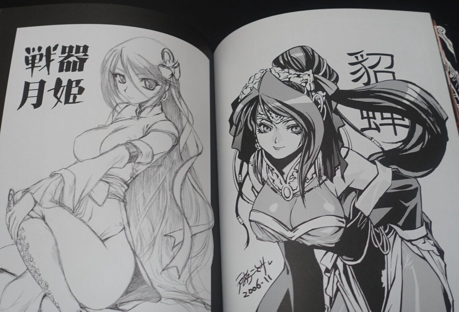 Raita Kazama Kaduki Kugawara Super Sangokushi Taisen Designer's Art Book 