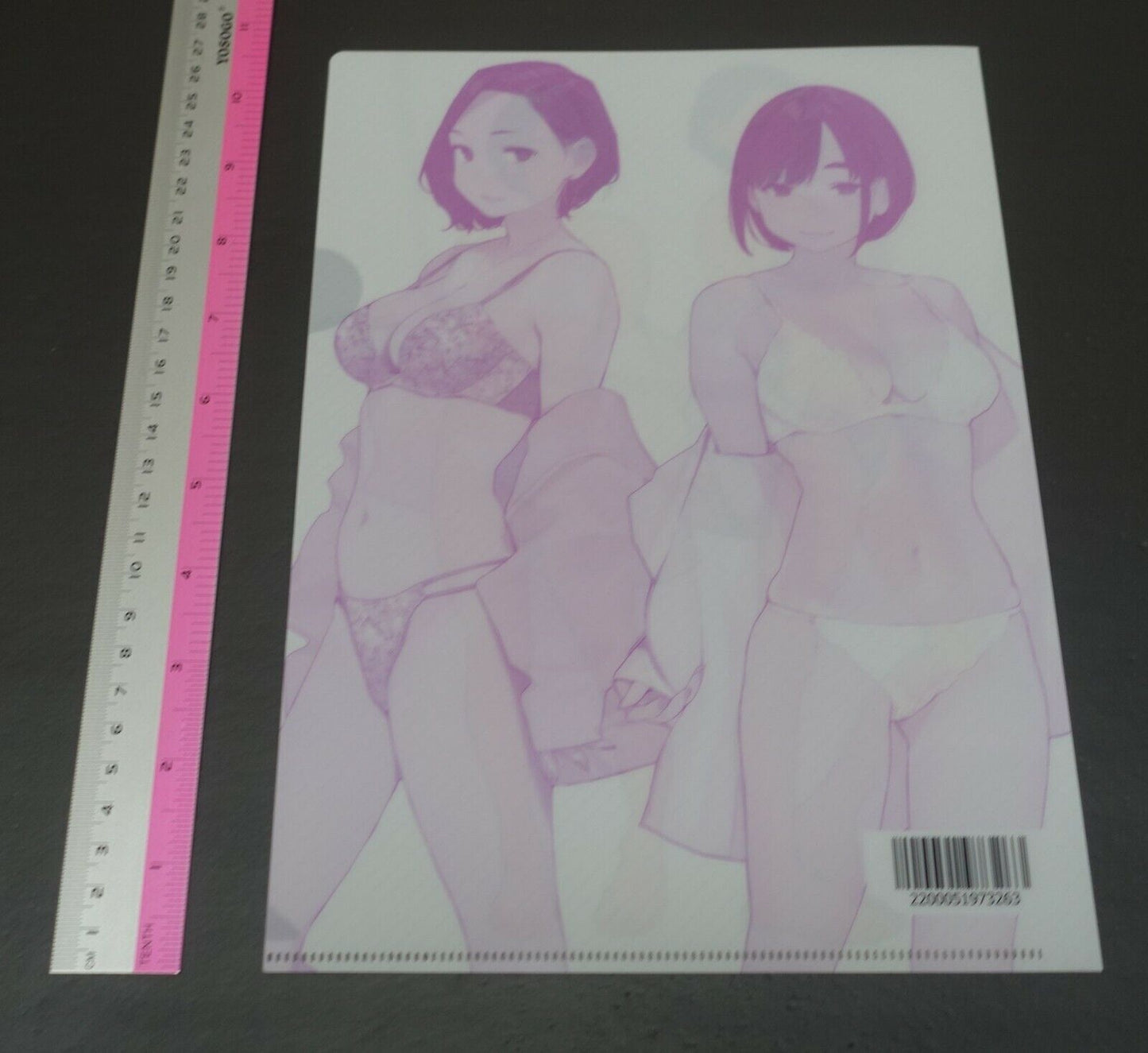 Ganbare Doki-chan Kouhai-Chan & Senpai-San Lingerie PVC Art Sheet 
